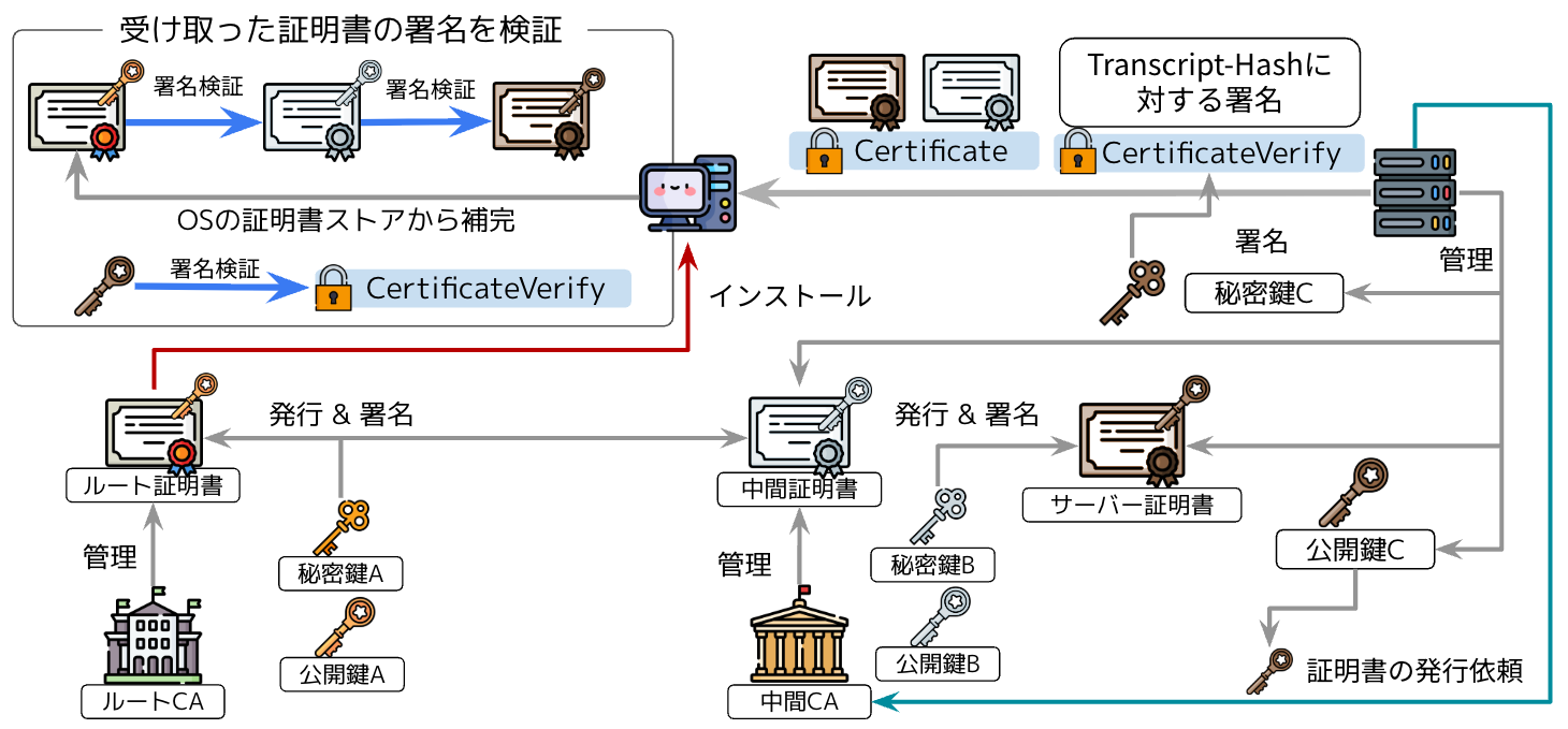 証明書チェーンの発行と検証